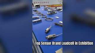 Sel beban merek sensor teratas